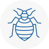 Bed Bug Extermination In Bishops Lydeard
